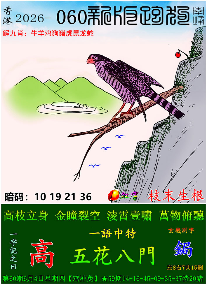 图片加载中...