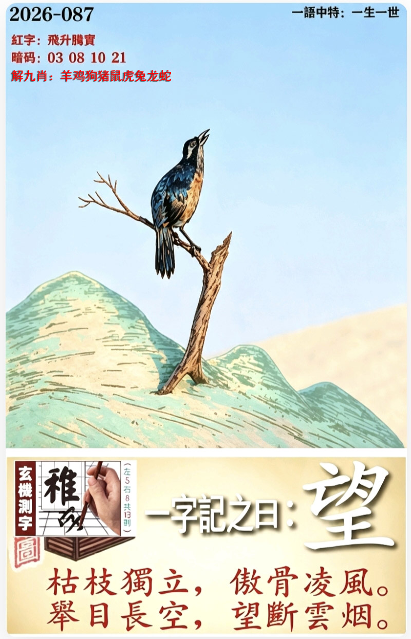 图片加载中...
