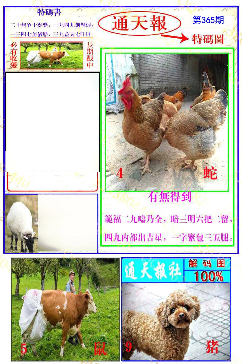 加载中……
